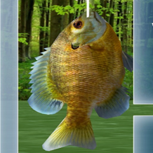 Wild Fishing King icon